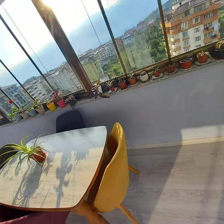 Erbay Trabzon